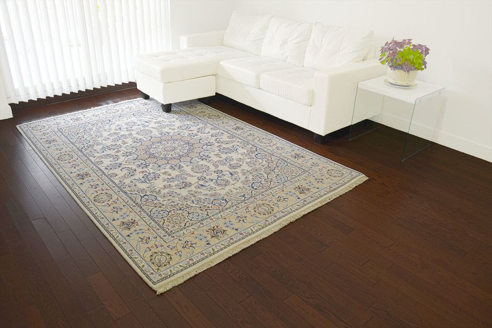 Issaquah Glass for a Contemporary Living Room with a Glass Side Table and Collections by 1800 Get a Rug